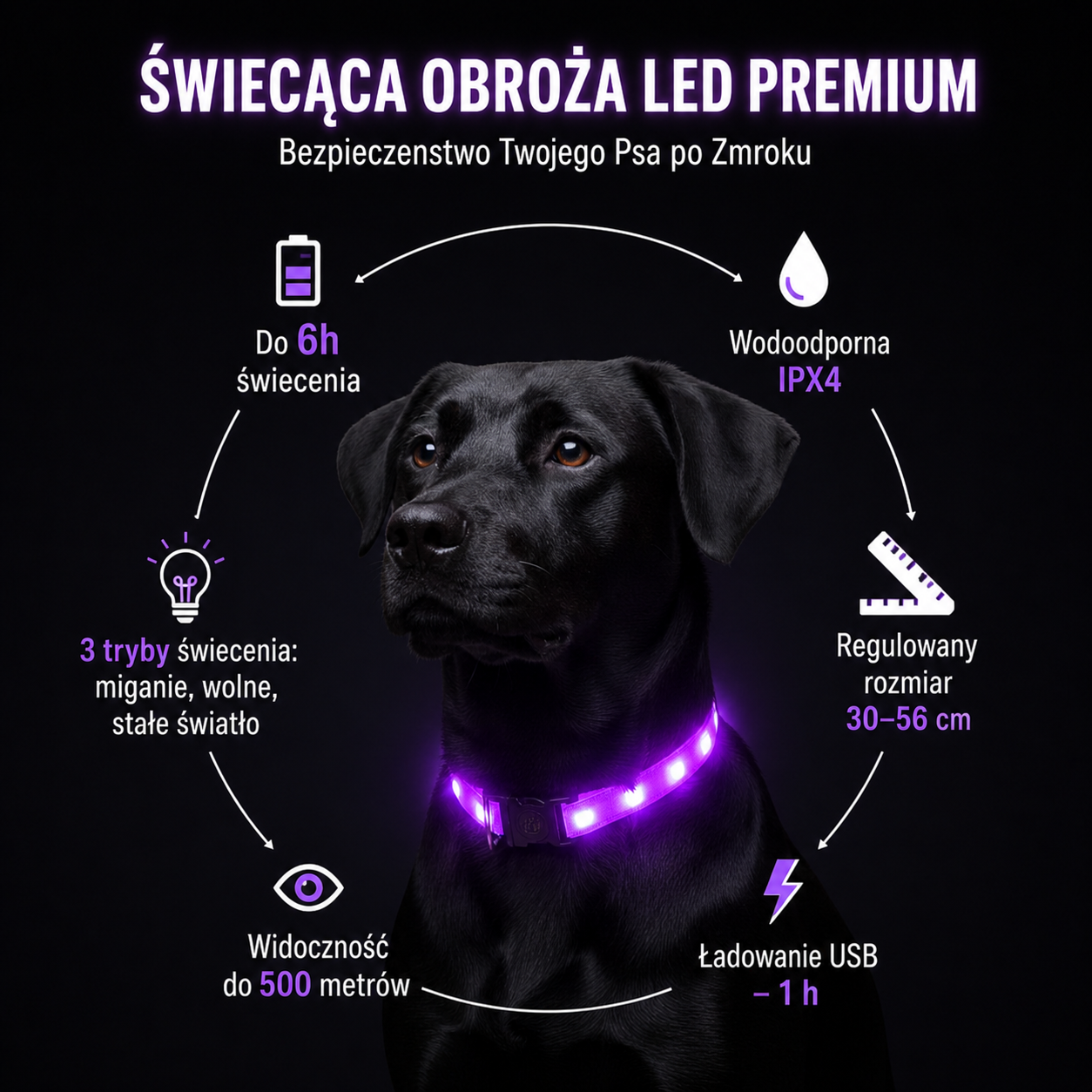 Świecąca Obroża LED dla Psa – USB, Wodoodporna, 3 Tryby Świecenia