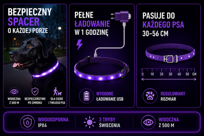 Świecąca Obroża LED dla Psa – USB, Wodoodporna, 3 Tryby Świecenia