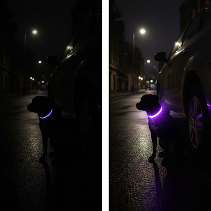 Świecąca Obroża LED dla Psa – USB, Wodoodporna, 3 Tryby Świecenia