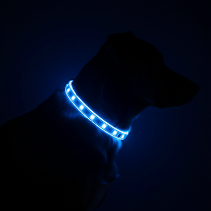 Świecąca Obroża LED dla Psa – USB, Wodoodporna, 3 Tryby Świecenia